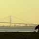 Image for article titled Detroit Councilwomen Call State's Takeover Of Island Park 'Rape'